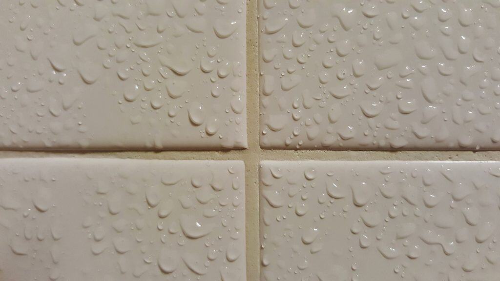 Why Tile isn't the Best Choice for a Shower Why Tile isn't the Best Choice for a Shower
